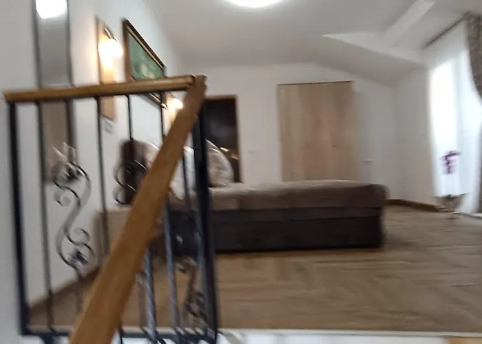 Petrovaradinski Dvor *