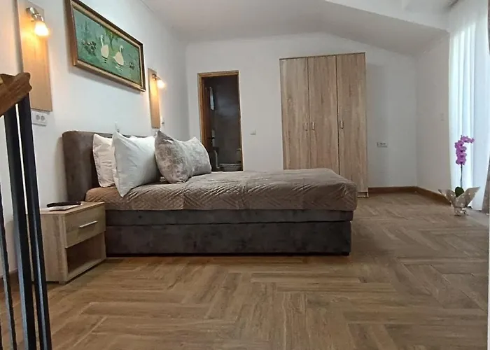 Petrovaradinski Dvor Daire *