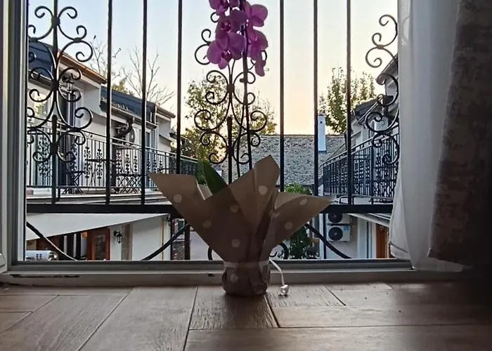 Petrovaradinski Dvor Daire